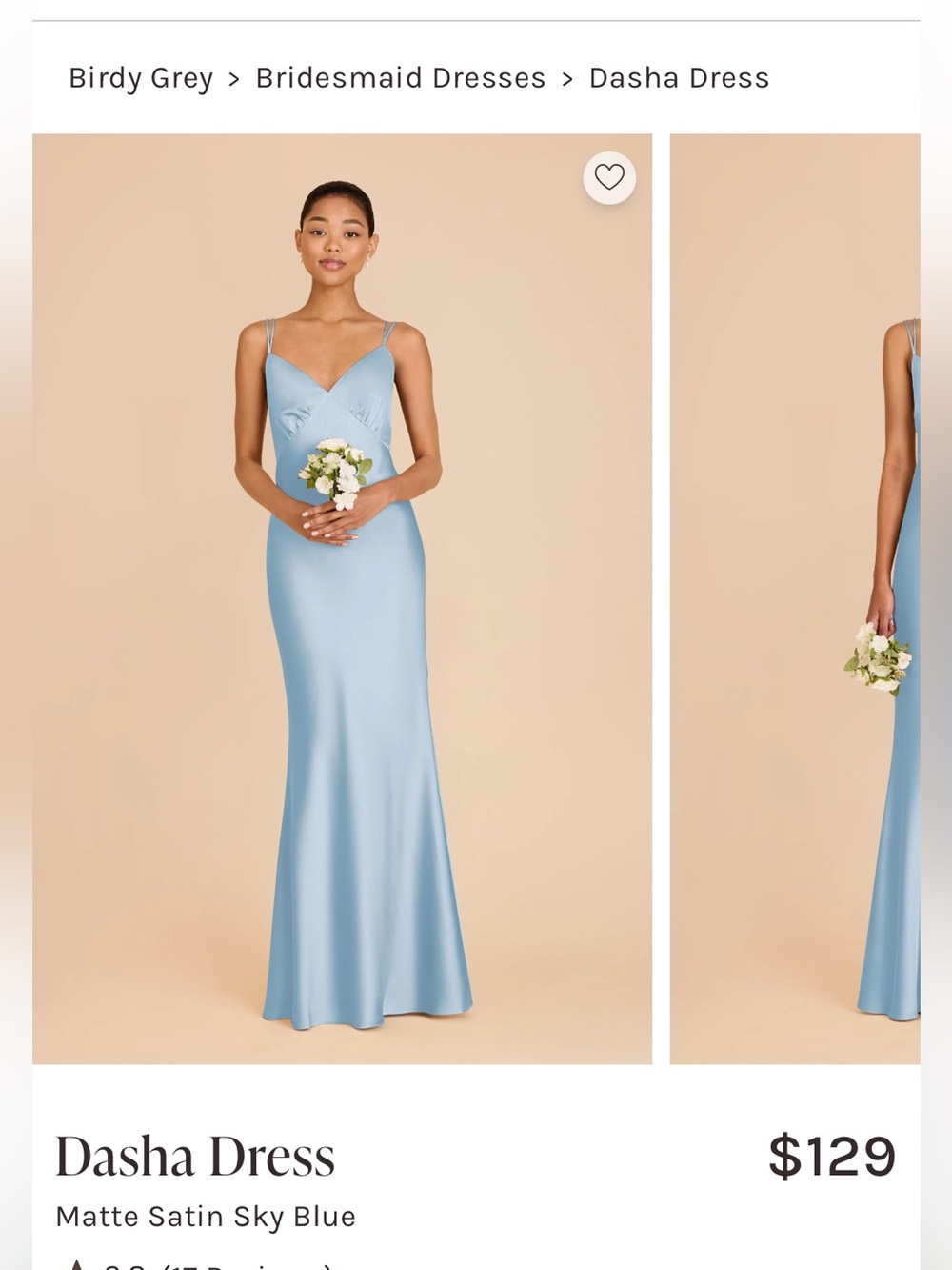 Birdy Grey Dasha Dress in Sky Blue